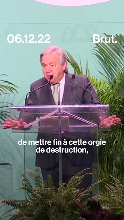 COP15 sur la biodiversité : les mots forts d’António Guterres
