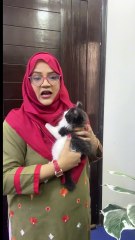 How to show your possessions in French?? #french #frenchlearning