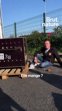 72h pour sauver Tanie, une oursonne de 4 mois recueillie par La Tanière