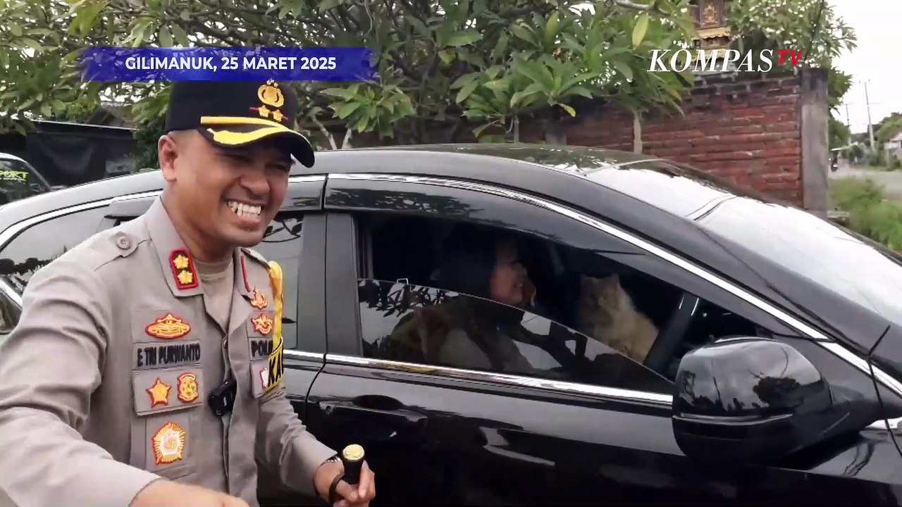 Aneka Ragam Mudik Lebaran 2025, Dua Kucing Ikut Mudik dari Bali ke Semarang!