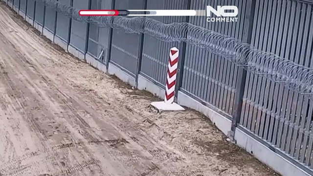 Польские пограничники предотвратили попытку незаконного пересечения границы с Беларусью