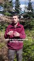 Il prépare “les forêts du futur”