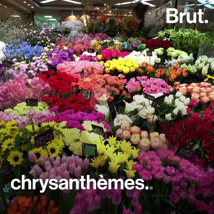 Le marché mondial des fleurs et son impact écologique