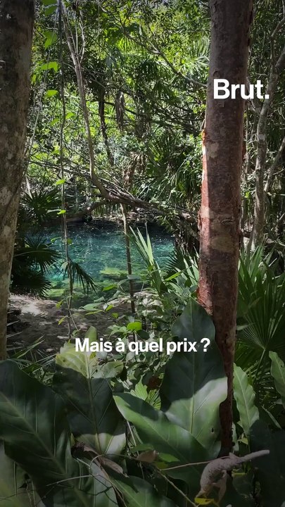 Au Mexique, le projet du train maya menace l'environnement