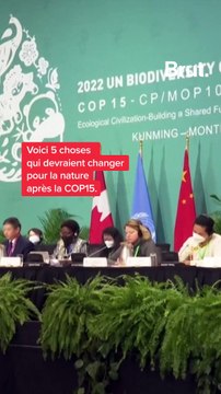5 choses qui devraient changer pour la nature après la COP15