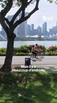 Les fermes urbaines à Singapour