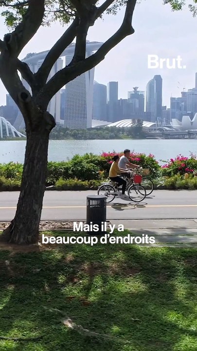 Les fermes urbaines à Singapour