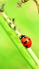 On s'active pour la biodiv !