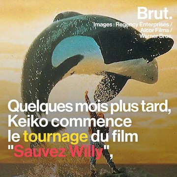 Une vie : Keiko, l'orque de Sauvez Willy