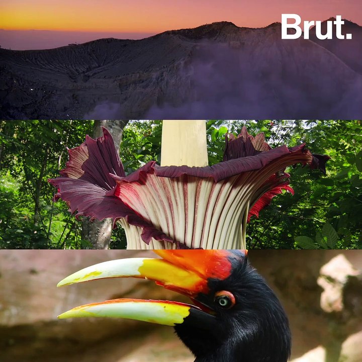 3 merveilles à découvrir en Indonésie