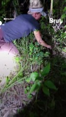 Agente immobilière, elle est devenue chasseuse de pythons