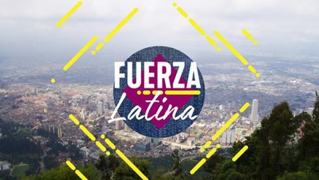 Autismo y animales: Historia de un vínculo extraordinario