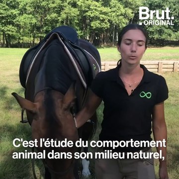 C'est quoi l'équitation éthologique ?