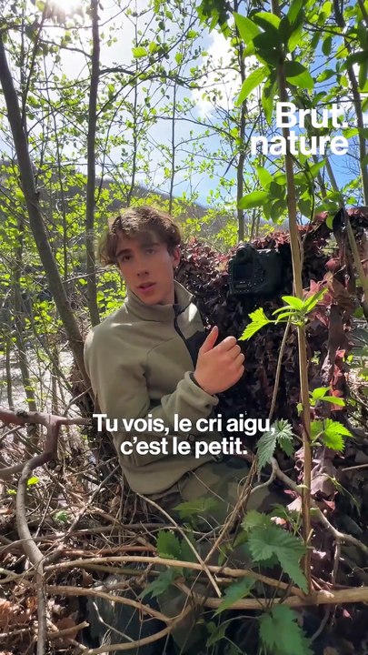 L'œil animal : sur les traces du cincle plongeur