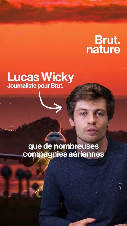 Qu'est-ce qui se cache derrière les options "compensation carbone" d'un vol ?