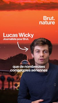 Qu'est-ce qui se cache derrière les options compensation carbone d'un vol ?