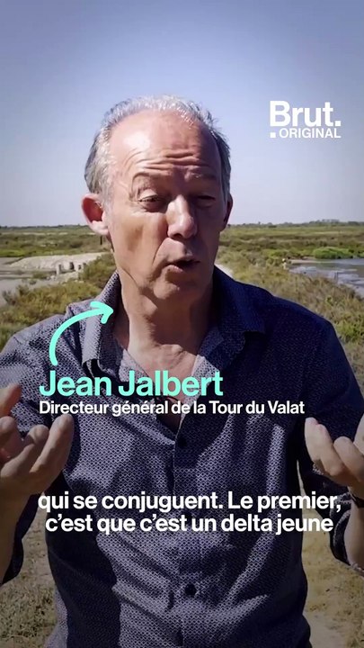 Montée des eaux : la Camargue déjà menacée