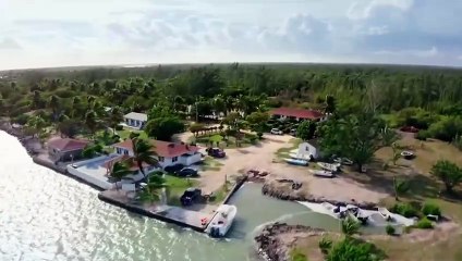 "Welcome to Wildlife Odyssey: Explore the Wild