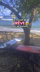 Le travail de reve pour les surfeurs