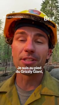 Pourquoi les incendies vont se multiplier partout dans le monde ?