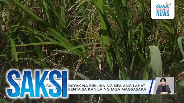 Malacañang, tiniyak na bibilhin ng NFA ang lahat ng bigas na ibebenta sa kanila ng mga magsasaka | Saksi