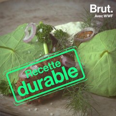 Recette durable : Falafels de lentilles sauce au yaourt