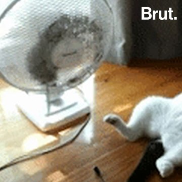 5 fausses bonnes idées pour avoir moins chaud