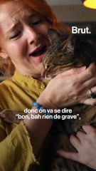 Comment mieux comprendre son chat?