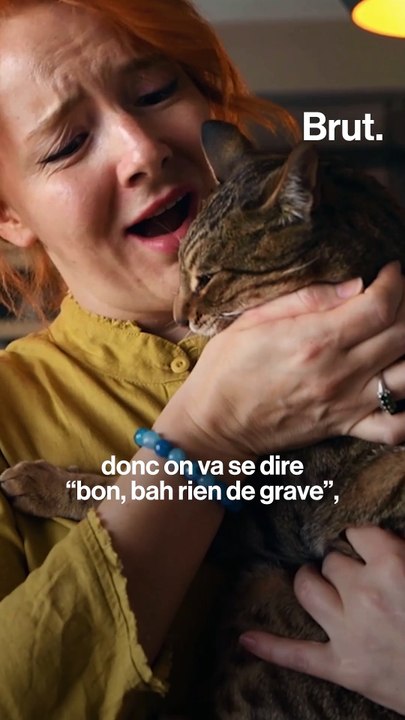 Comment mieux comprendre son chat?