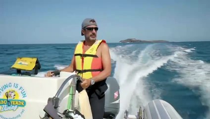 "Welcome to Wildlife Odyssey: Explore the Wild