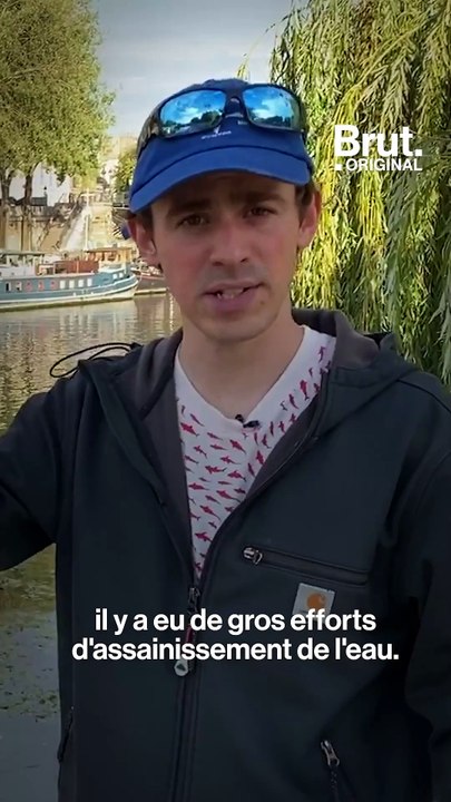 3 espèces de poissons de retour à Paris