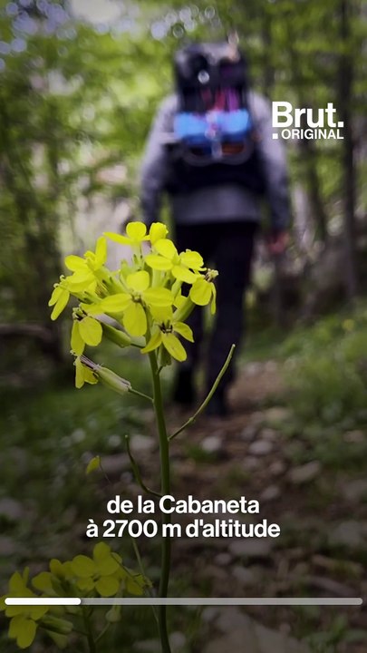 Jimmy s'est lancé un défi : nettoyer les Pyrénées