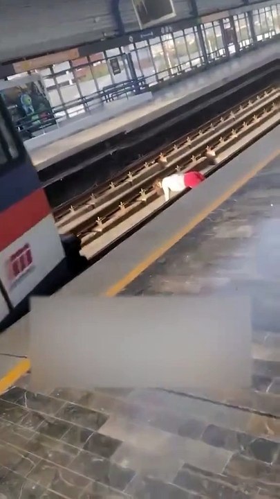 VIDEO: Tren alcanzó a frenar y una mujer que cayó en las vías se salvó de ser atropellada