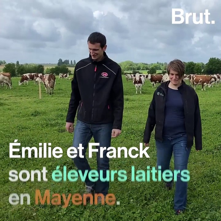 Éleveurs laitiers en Mayenne, ils sont passés au bio