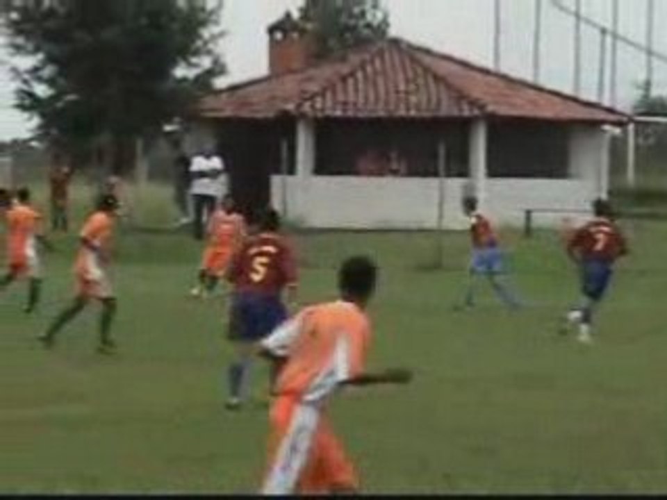 Luis Fernando - Ala esquerdo - 91