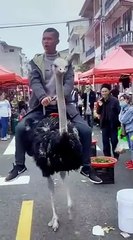 Entatanment Vedio Channel for kids Enjoy .