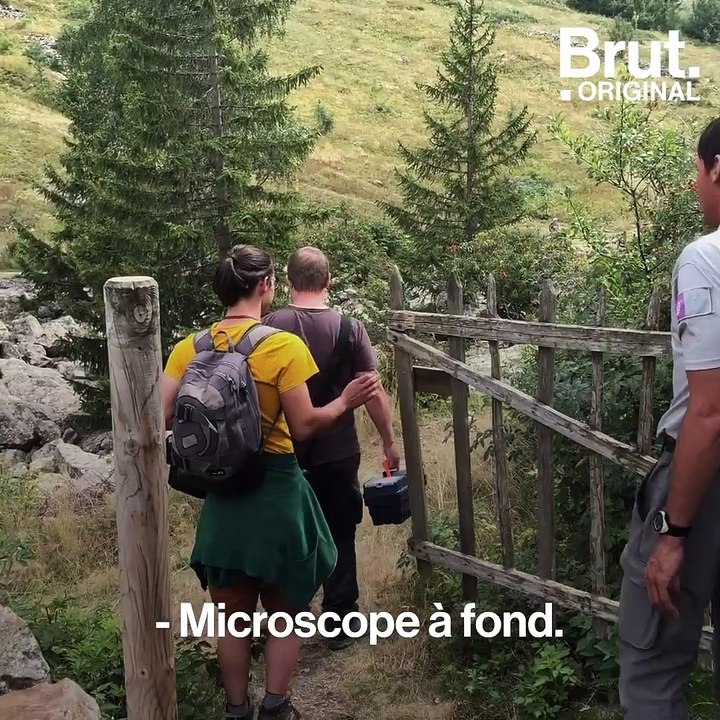 Cette réserve dans les Alpes est préservée de toute activité humaine