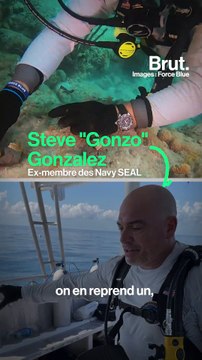 Ces anciens plongeurs des forces spéciales luttent pour préserver les coraux