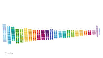 23andMe files for Chapter 11 bankruptcy