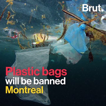 4 reasons to be optimistic about the environment in 2018