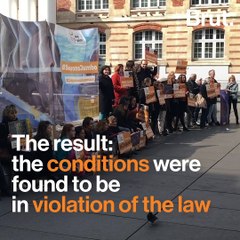 NGO One Voice is fighting to save hippopotamus Jumbo