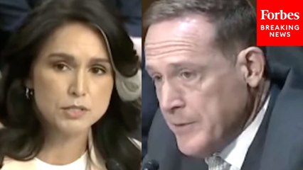 Eric Schmitt To Tulsi Gabbard: How Have You Taken On FISA Abuse To Protect Civil Liberties?