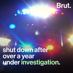 A flying squirrel trafficking ring shut down in Florida