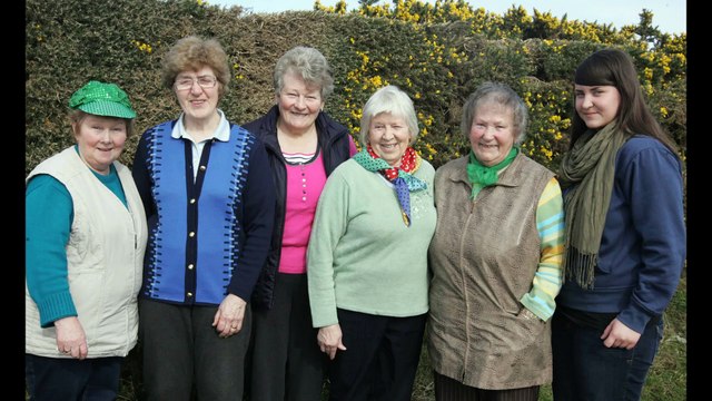 From the archives - Bygone St Patrick's Day ploughing matches