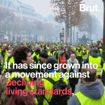 Who Are Yellow Vests Protesters?
