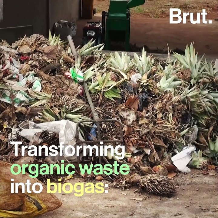 This fondation turns several tons of waste into biogas