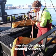 Floating Island Parks Made From Plastic Pollution