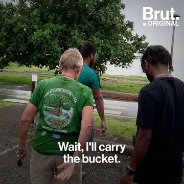 In New Caledonia, this organization is replanting mangroves to protect the coastline