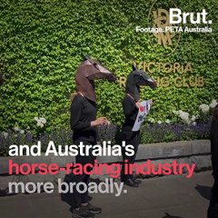 A horse euthanized in Australia reignites criticism