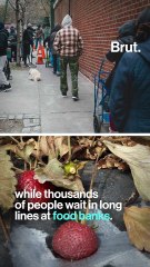 Fighting waste and feeding those in need during Covid-19